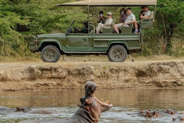 Maharashtra Wild Trail Luxury Train Journey