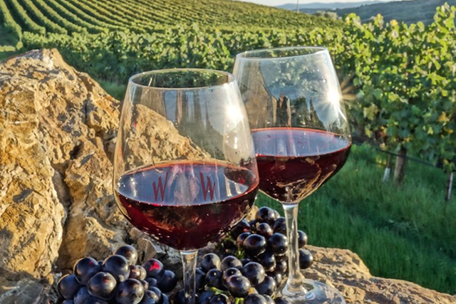 Maharashtra Splendor Luxury Train Journey