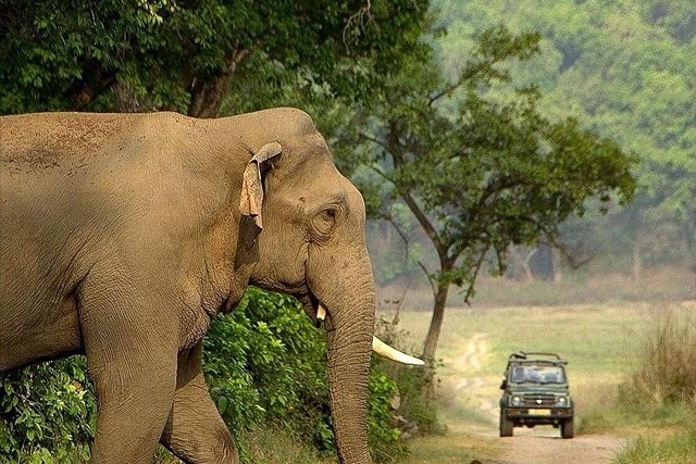 Golden Chariot Glimpses of Karnataka itinerary