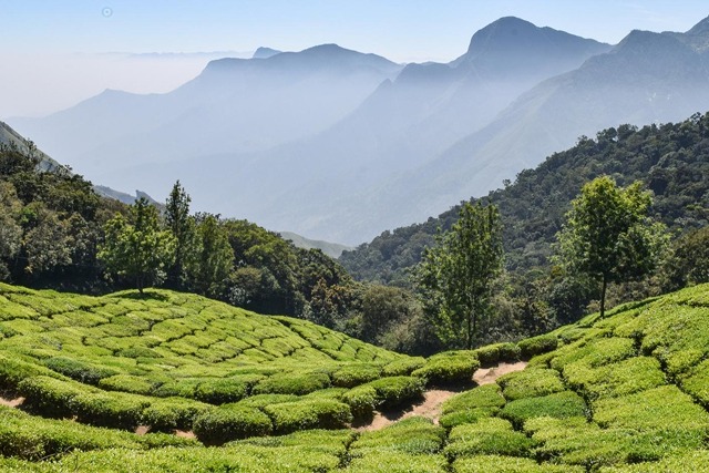 Golden Chariot Pride of Karnataka itinerary
