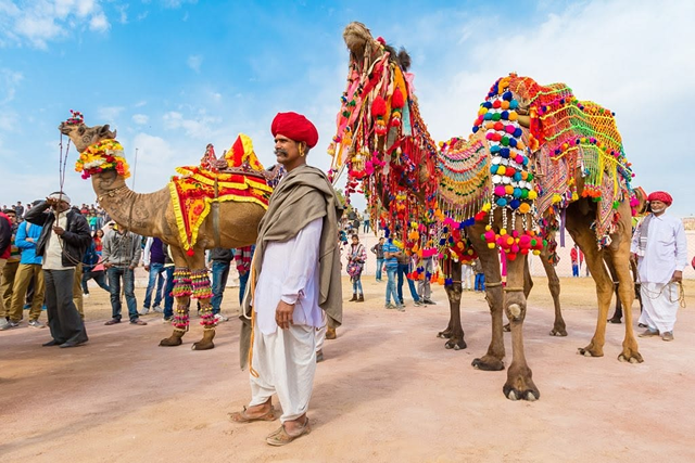 How to Book Luxury Train India