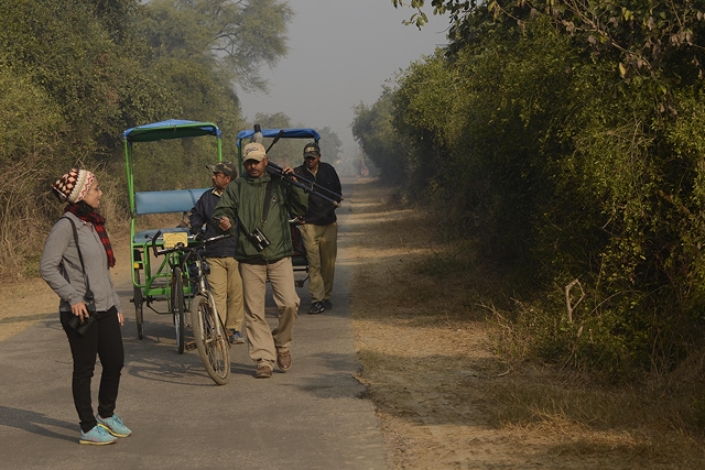 Pench National Park – Wildlife Experience