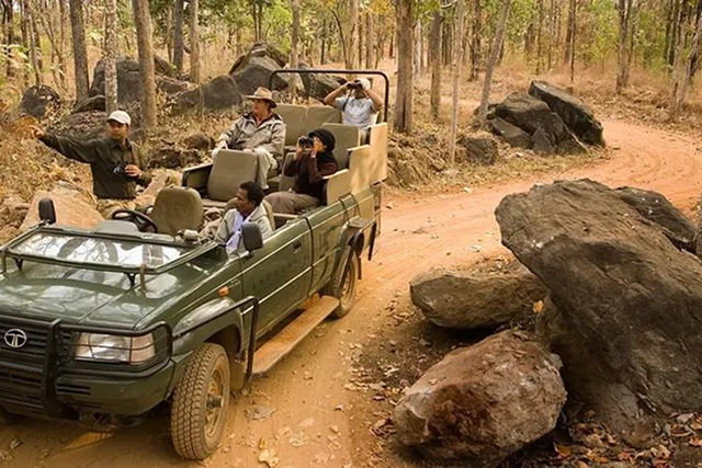 Pench National Park – Wildlife Experience