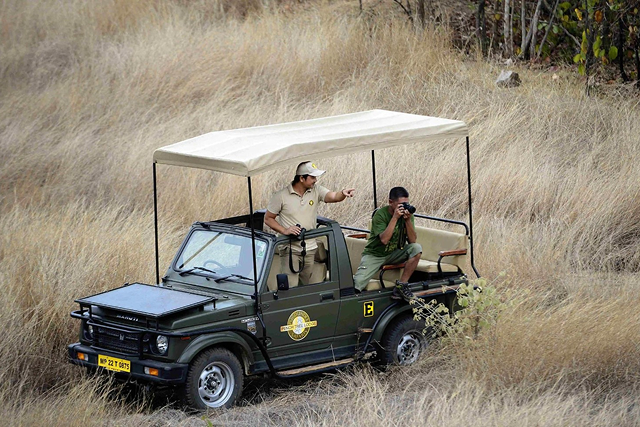 Pench National Park – Wildlife Experience