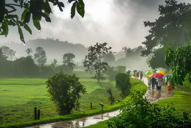 Best Time to Travel on Luxury Trains in India